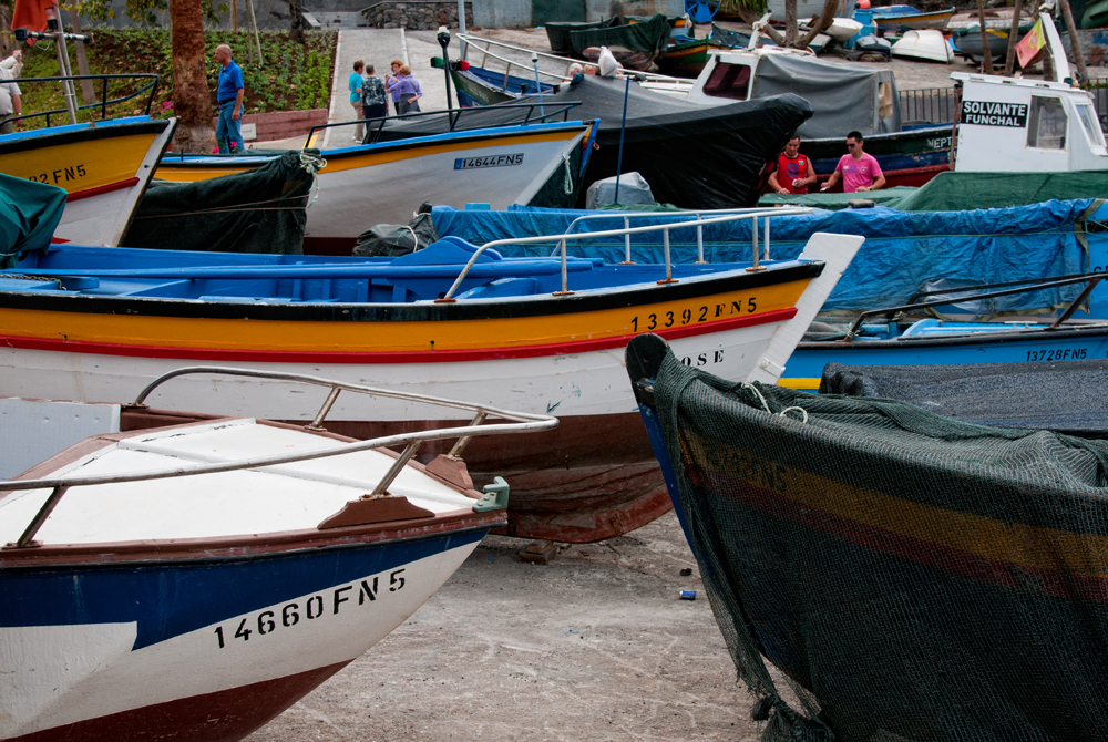 311_Madera_Camara de Lobos.jpg